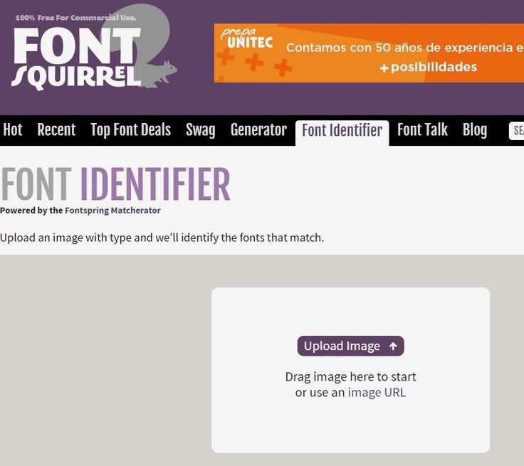 Identify Fonts - The Font Squirrel Matcherator | Font squirrel, Fonts, Top fonts
