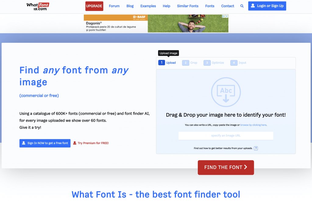 What Fonts Are Using The Best 20 Websites In The World